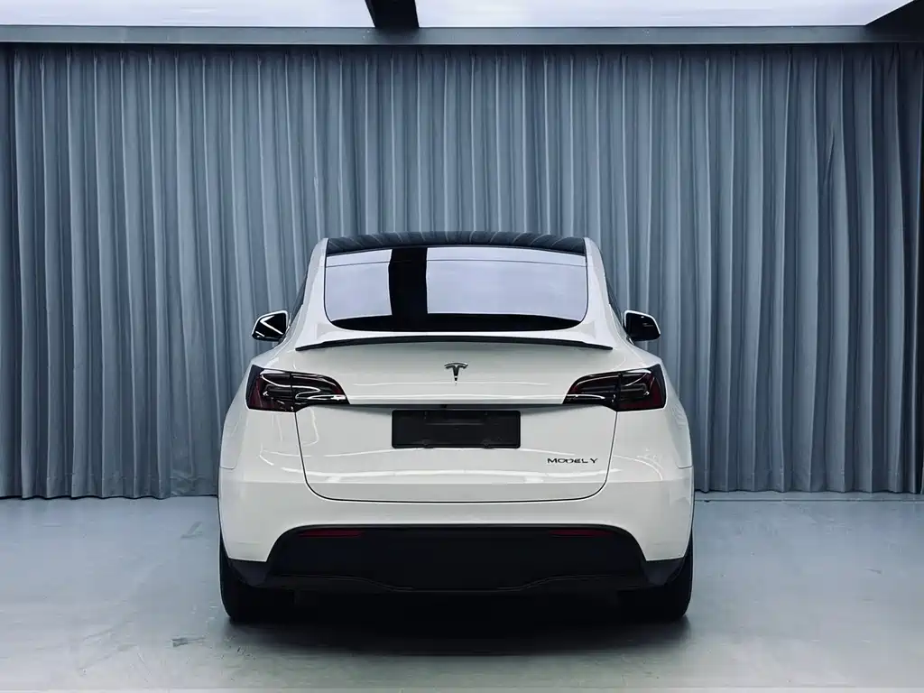 Tesla Model Y — миниатюра 16