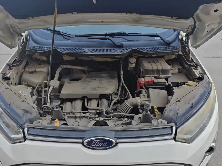 Ford Ecosport — миниатюра 10