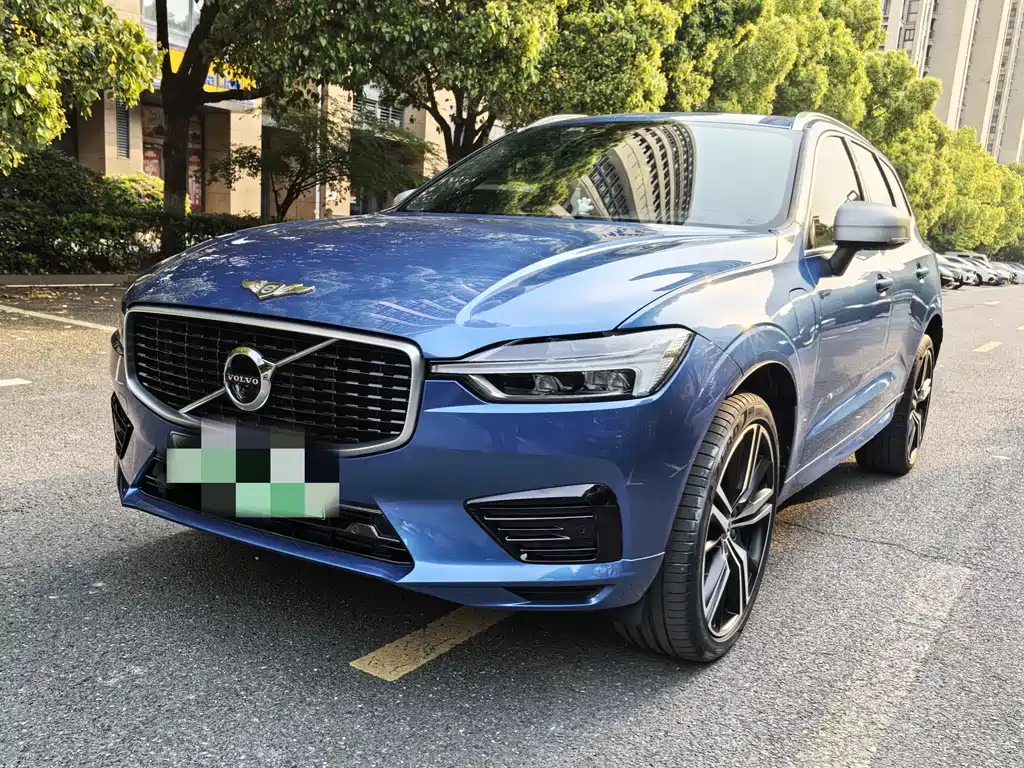 Volvo XC60 2019 T8 E Luxury VI