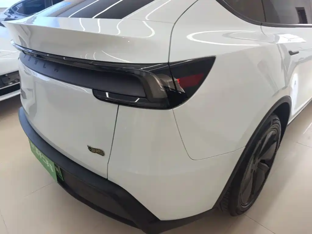 Tesla Model Y — миниатюра 8