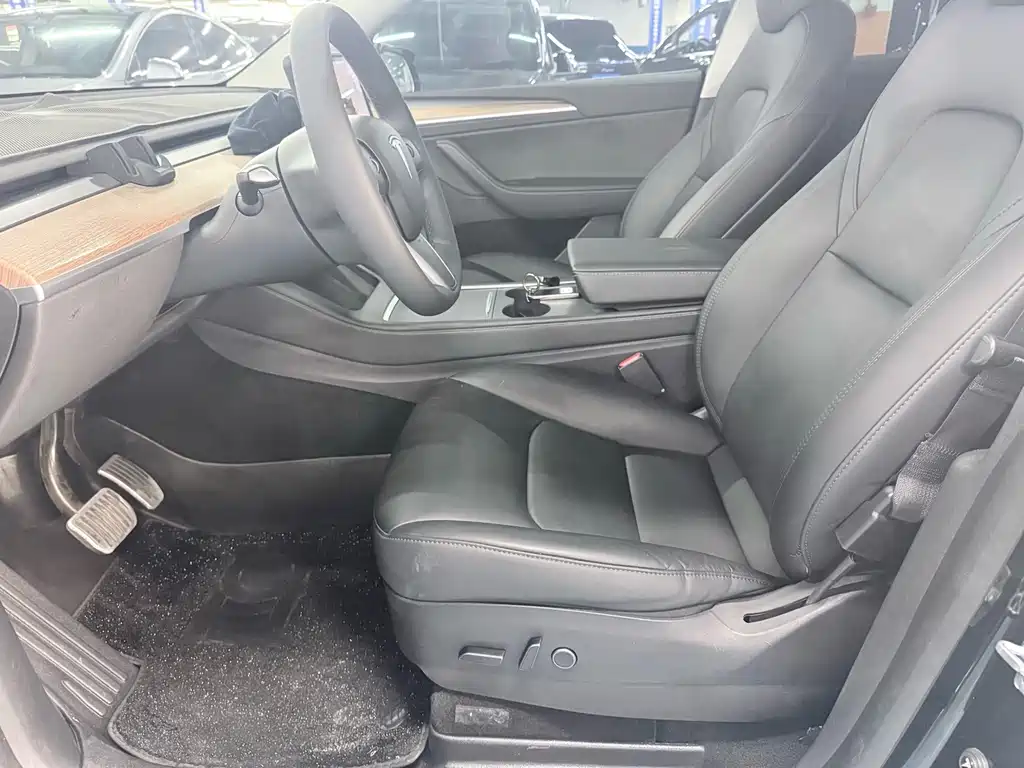Tesla Model Y — миниатюра 7