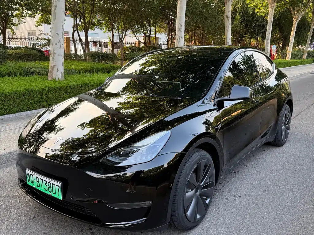 Tesla Model Y — миниатюра 2