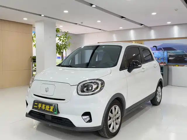 2022 Leapmotor T03