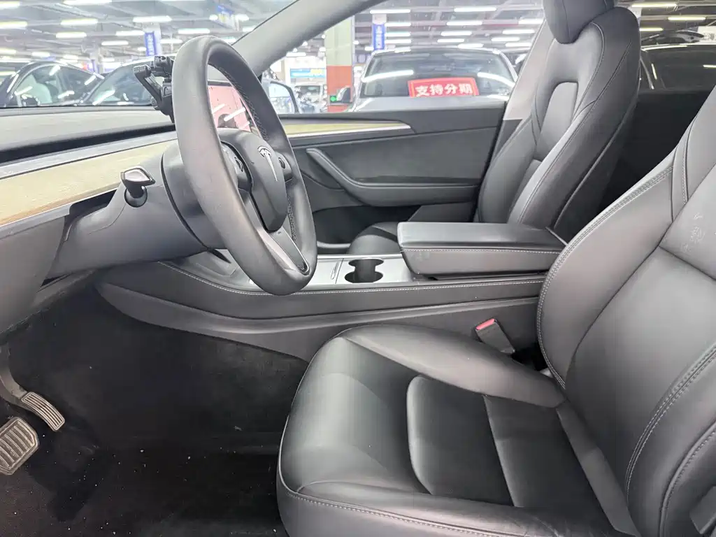 Tesla Model Y — миниатюра 7