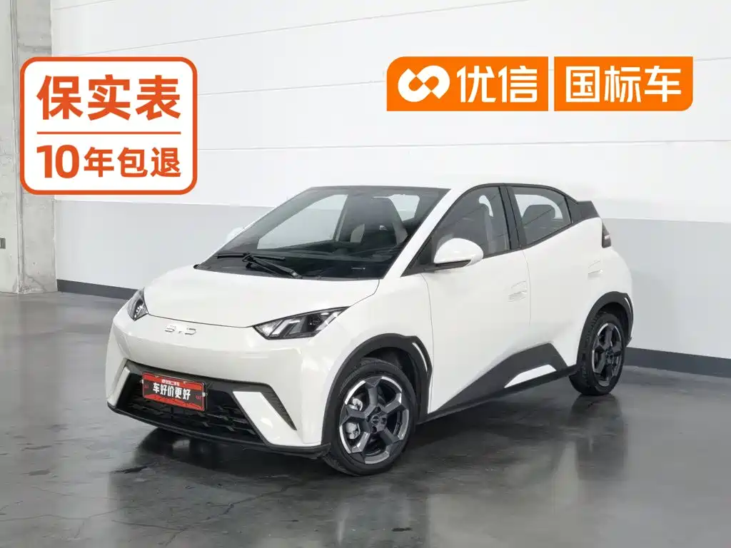 BYD Seagull