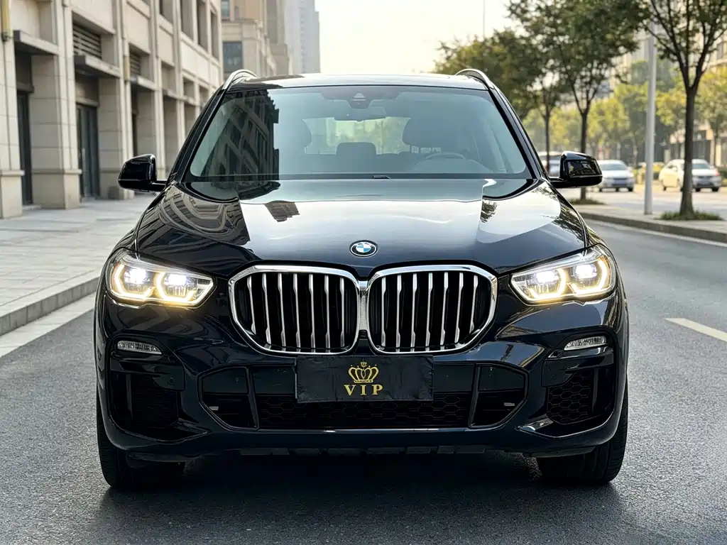 BMW X5 (Import) — миниатюра 2