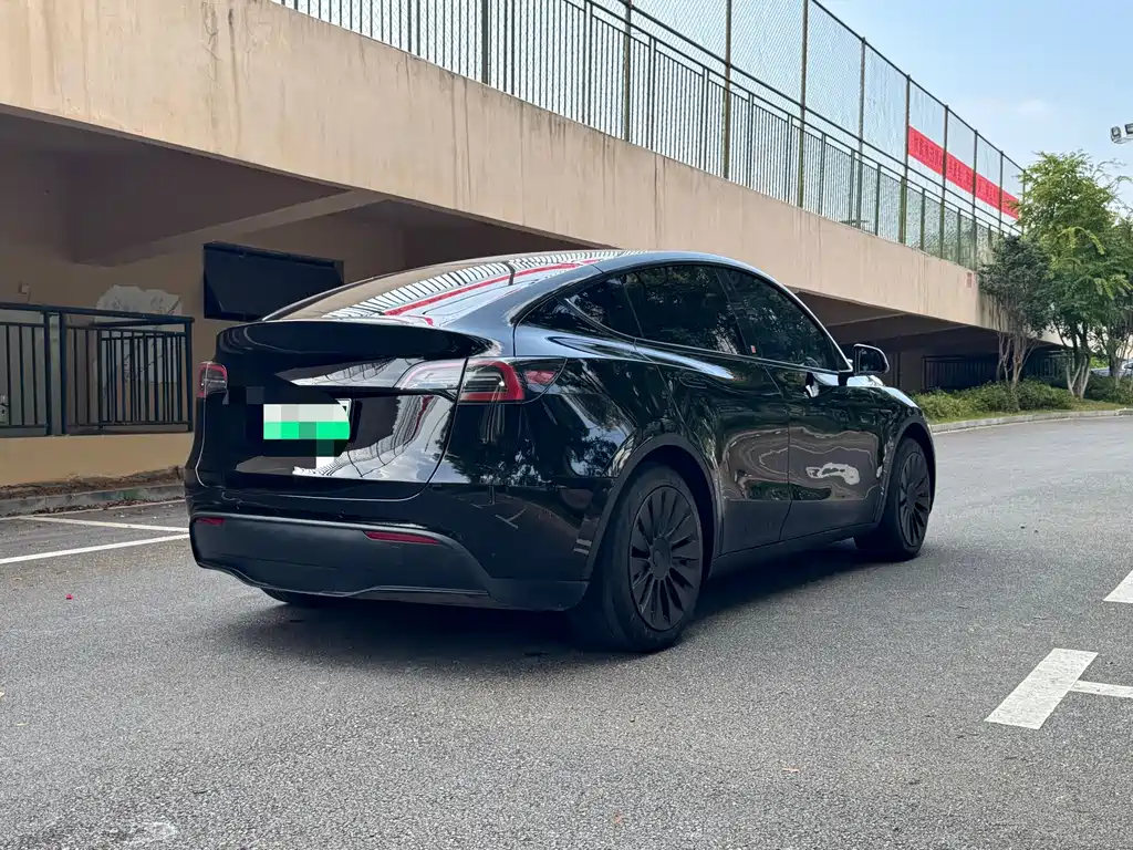 Tesla Model Y — миниатюра 5