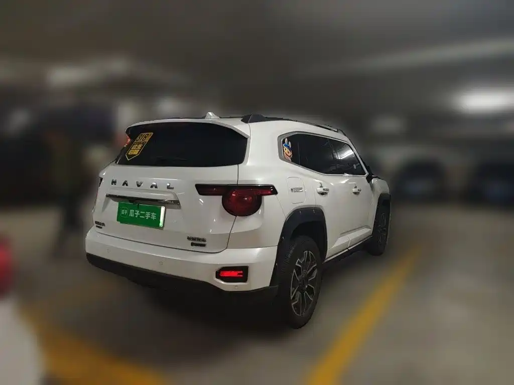 Haval Big Dog PLUS New Energy — миниатюра 6