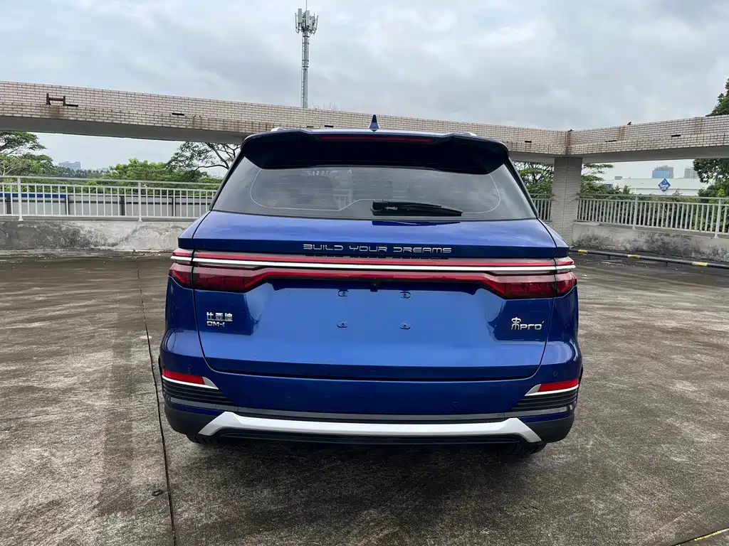 BYD Pro New Energy — миниатюра 5