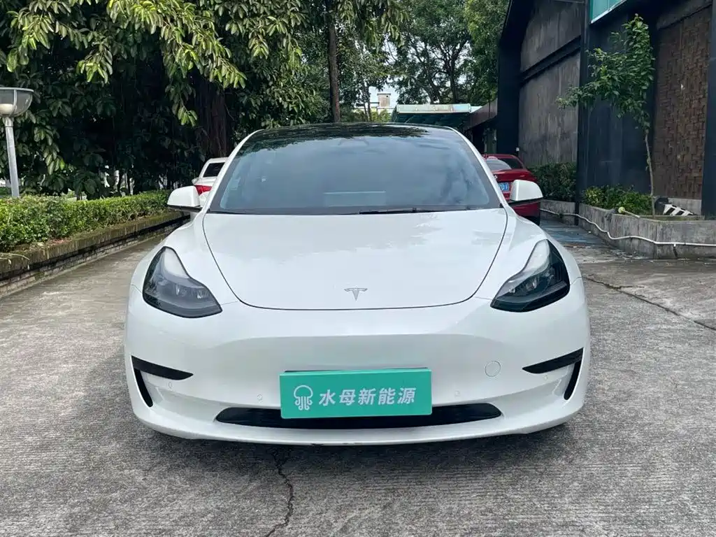 Tesla Model 3 — миниатюра 2