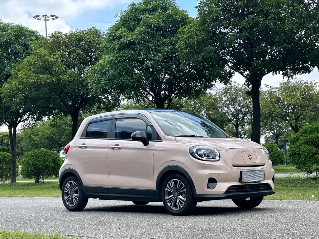 Leapmotor T03 2021 400 Luxury