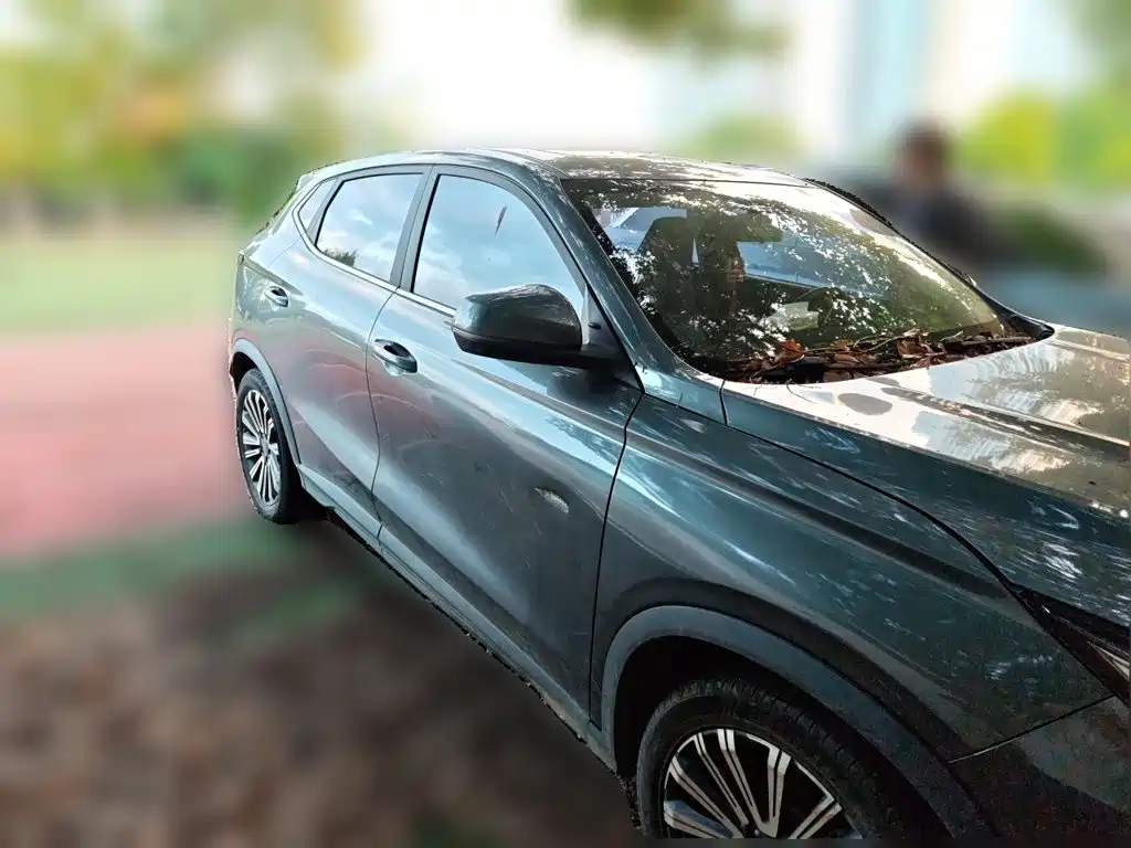Oshan Oushang X5 — миниатюра 3