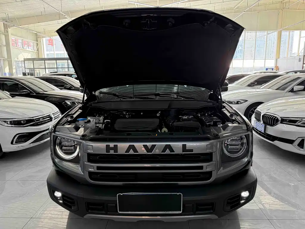 Haval Big Dog — миниатюра 21