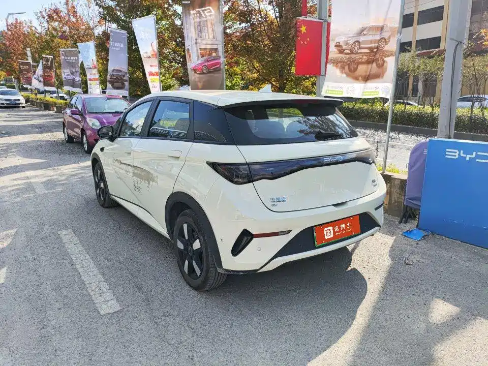 BYD Dolphin — миниатюра 3