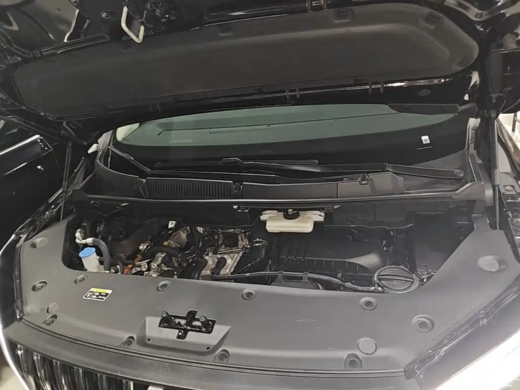 Hongqi Hongqi HQ9 PHEV — миниатюра 20