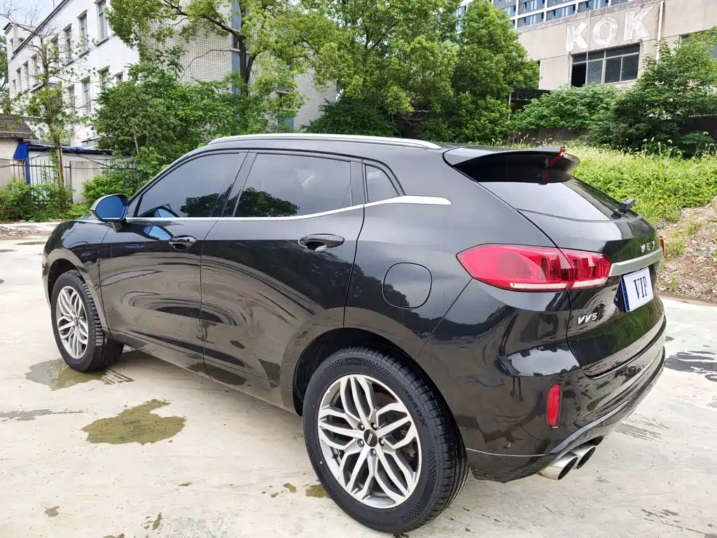 Wey VV5 Upgrade Model 2.0T 2WD Super Luxury Type China V, фото 7
