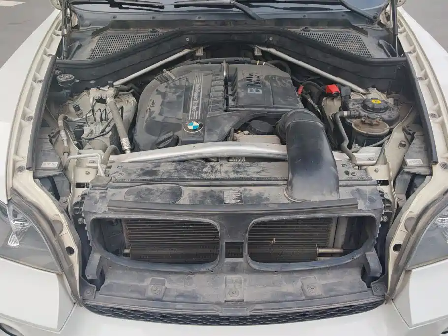 BMW X5 (Import) — миниатюра 10