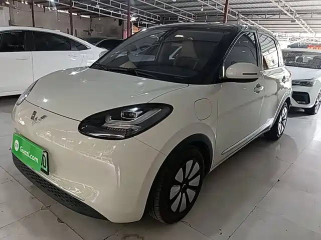 2023 Wuling Motors Binguo