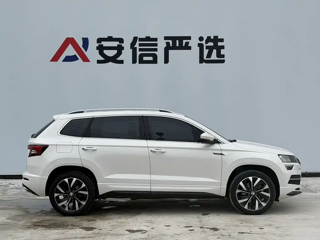 Skoda Karoq TSI280 Premium Edition, фото 7