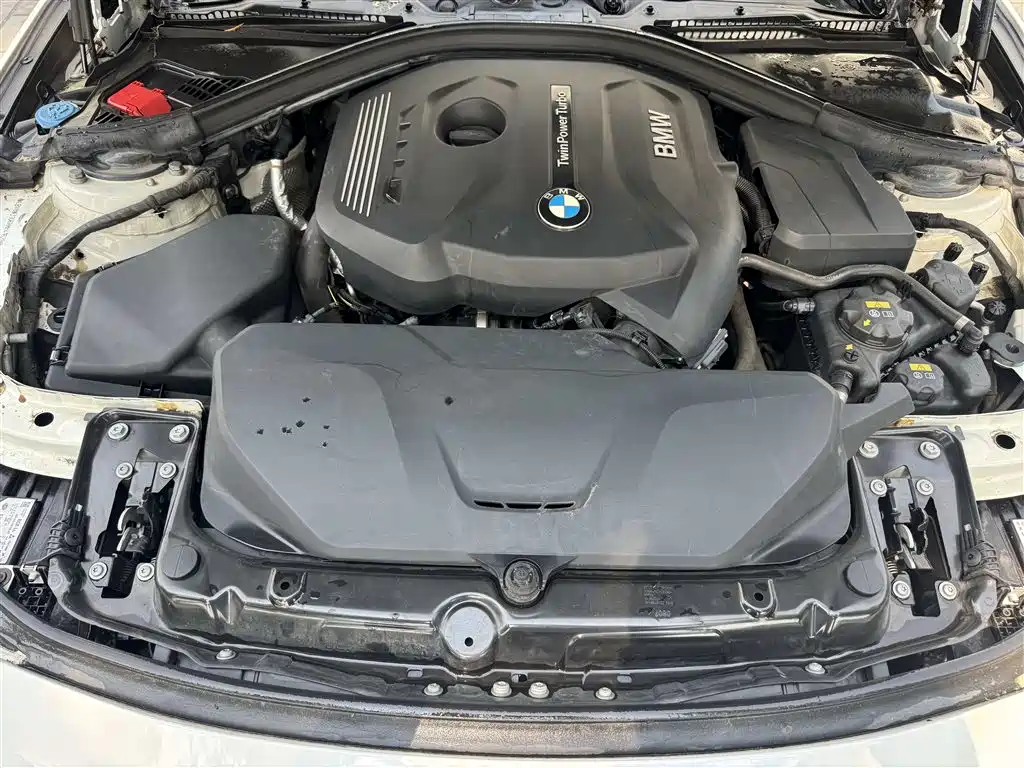BMW 3 Series 3 2017 320Li M Sport