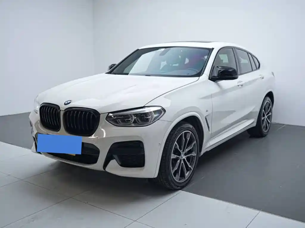 BMW X4 2019 xDrive25i M Sport