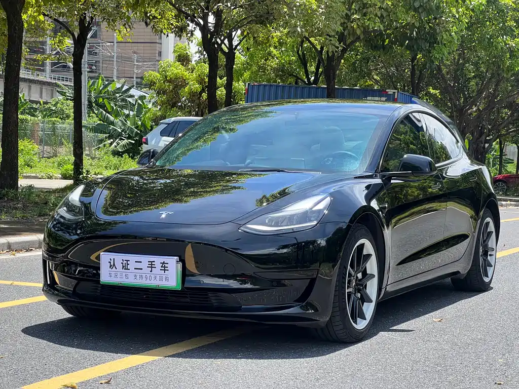 Tesla Model 3 2021 3D1