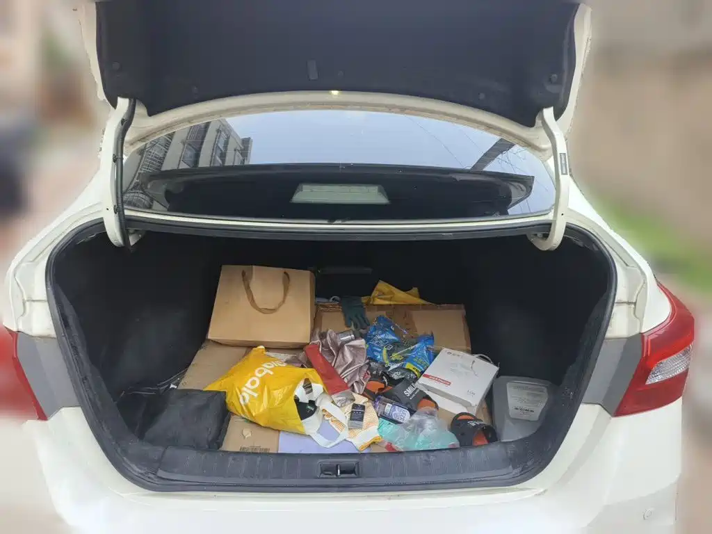 Nissan Sylphy — миниатюра 15