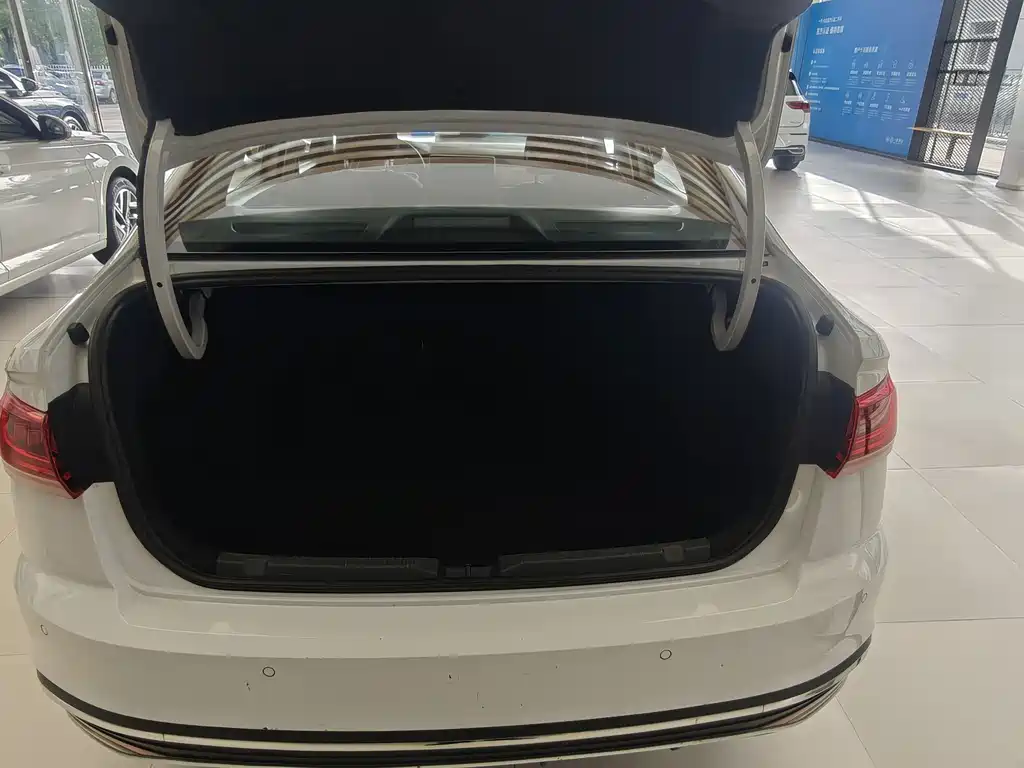Volkswagen Bora — миниатюра 12