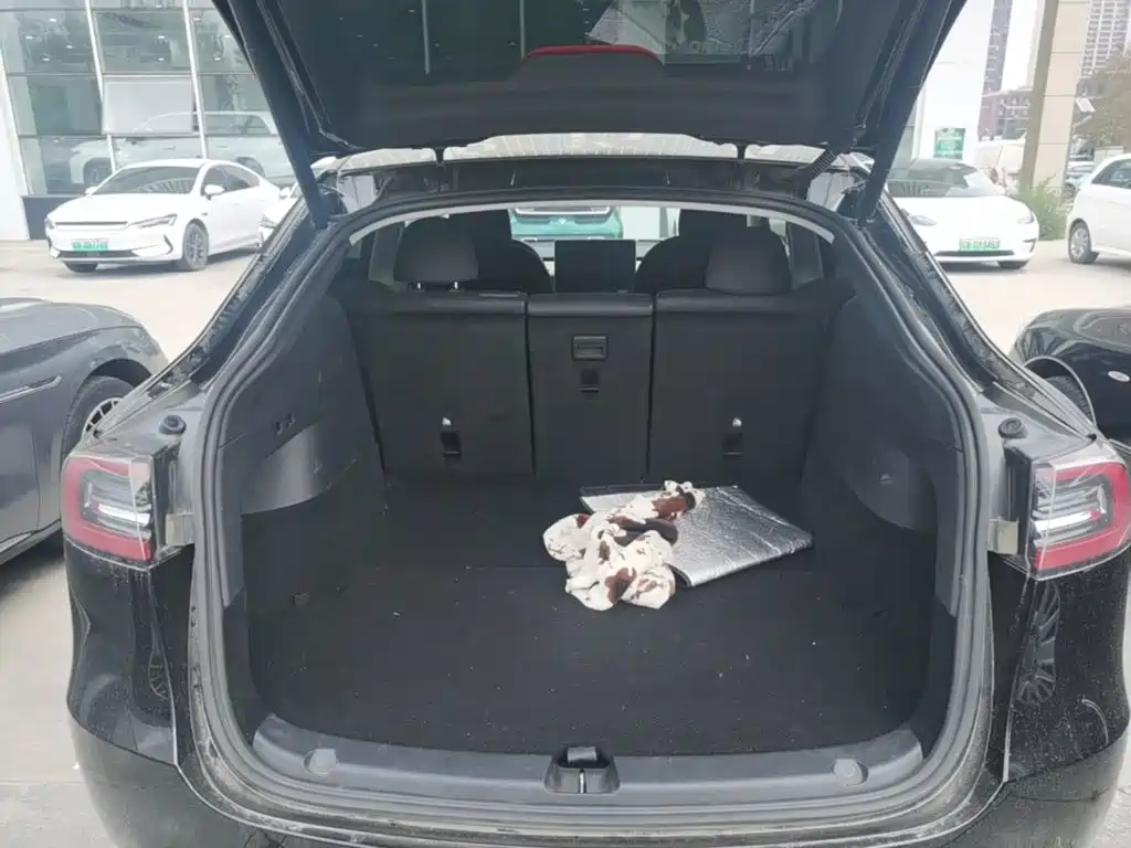 Tesla Model Y — миниатюра 19