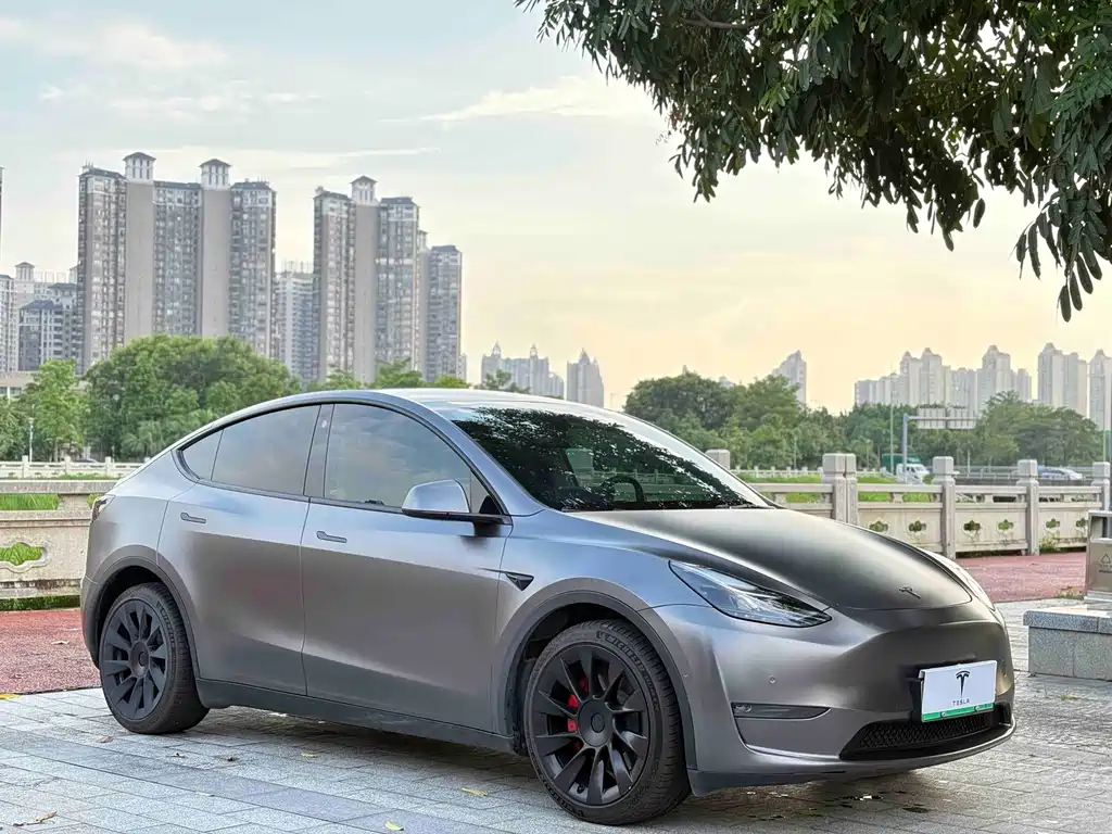 Tesla Model Y — миниатюра 3