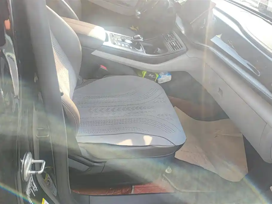 BYD Qin Plus PLUS 2024 DM-i 55KM Lead