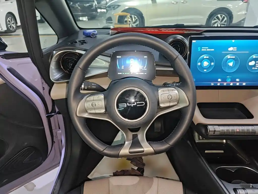 BYD Dolphin — миниатюра 11