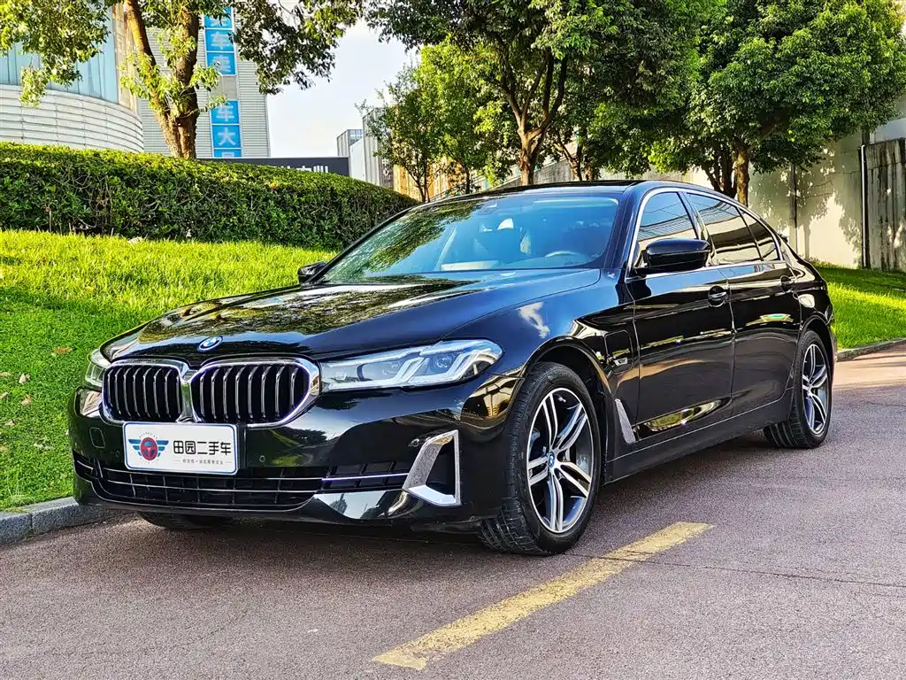 BMW 5 Series New Energy 2022