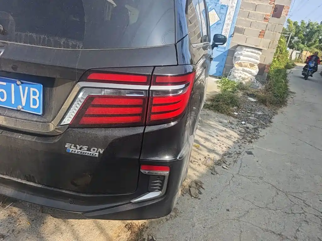 Honda Elysion — миниатюра 8