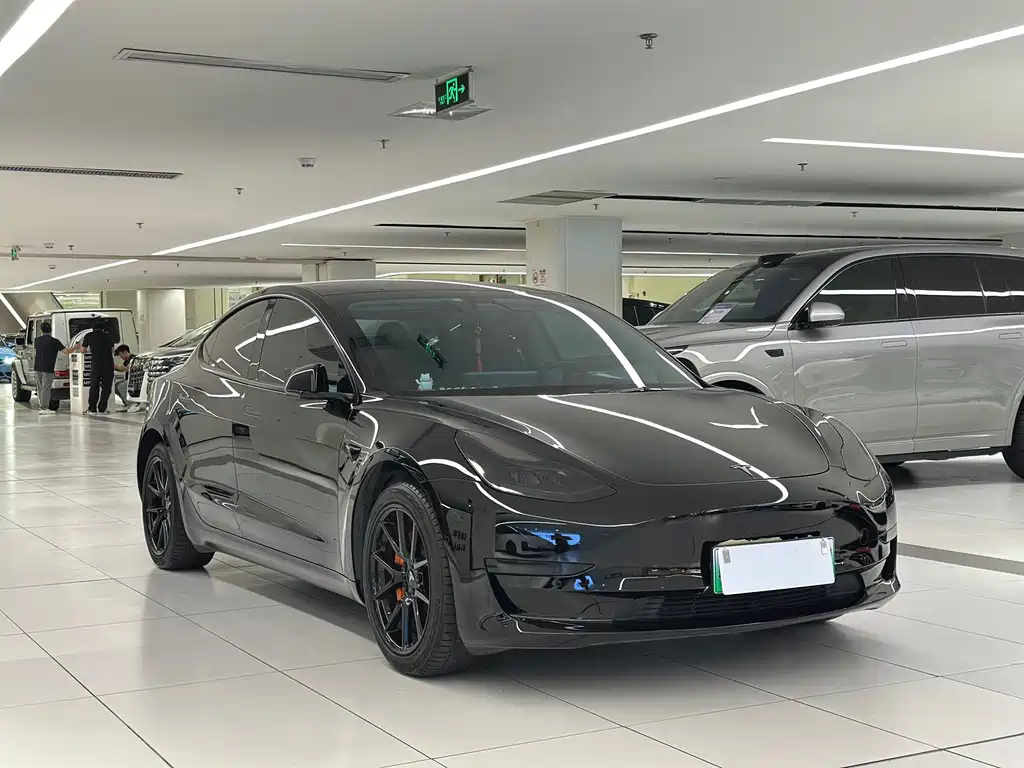 Tesla Model 3 2021 3D6