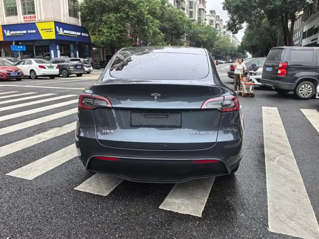 Tesla Model Y — миниатюра 4
