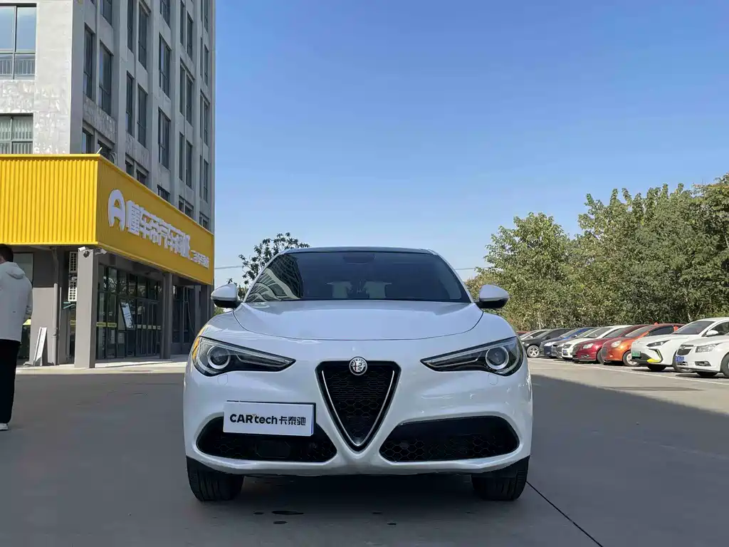 Alfa Romeo Stelvio 2.0T 200HP Elite Edition, фото 2