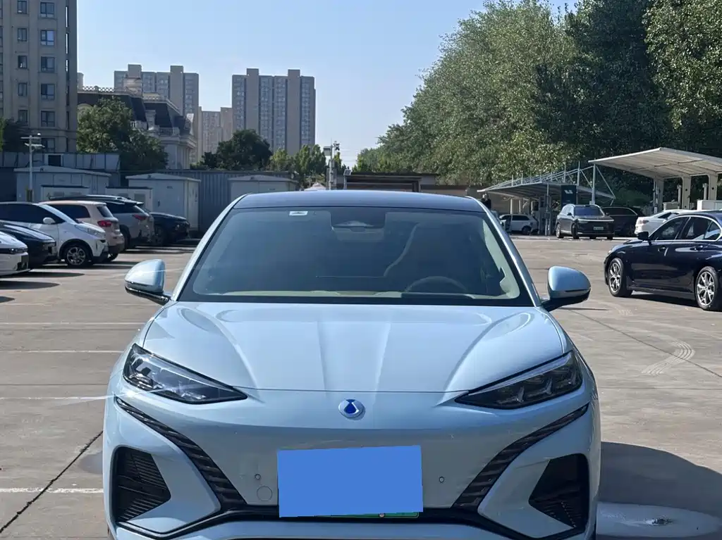Denza Denza N7 — миниатюра 2