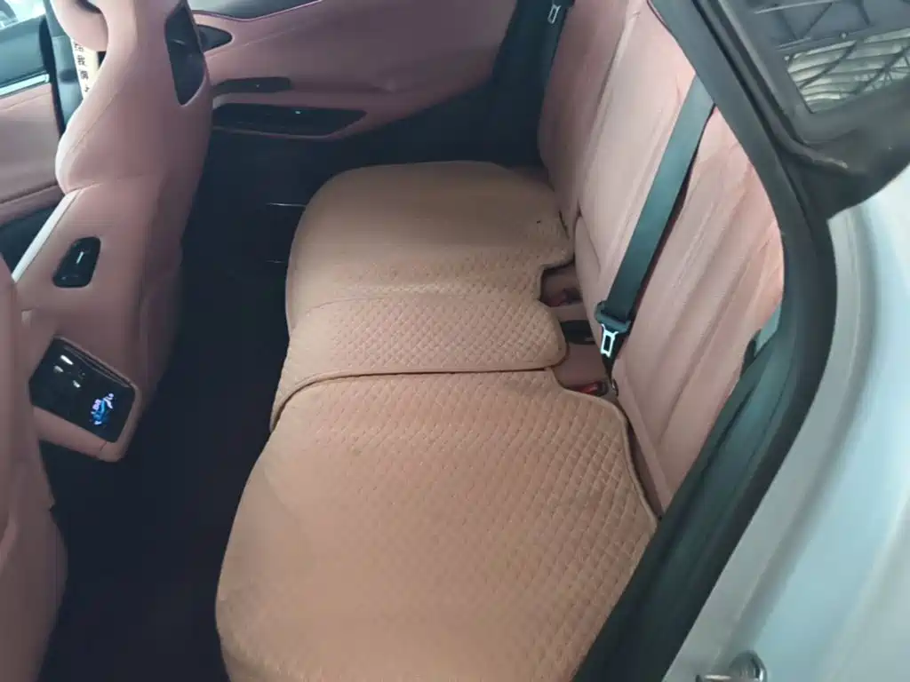 BYD L EV — миниатюра 17