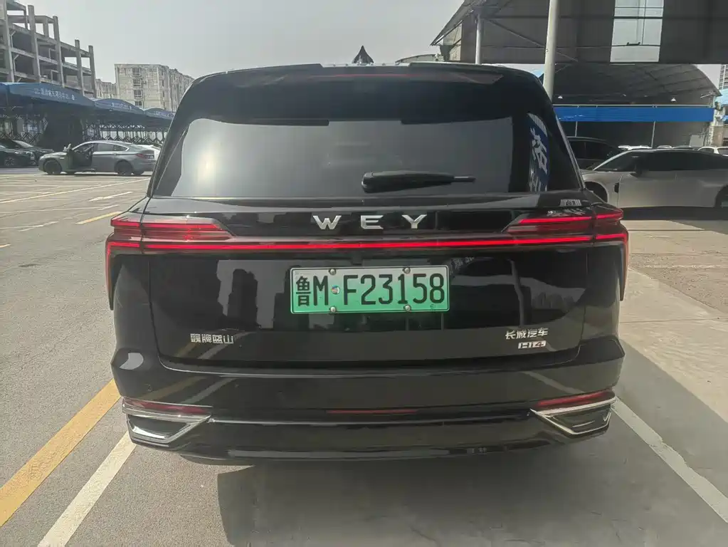 WEI PAI WEI BRAND BLUE MOUNTAIN