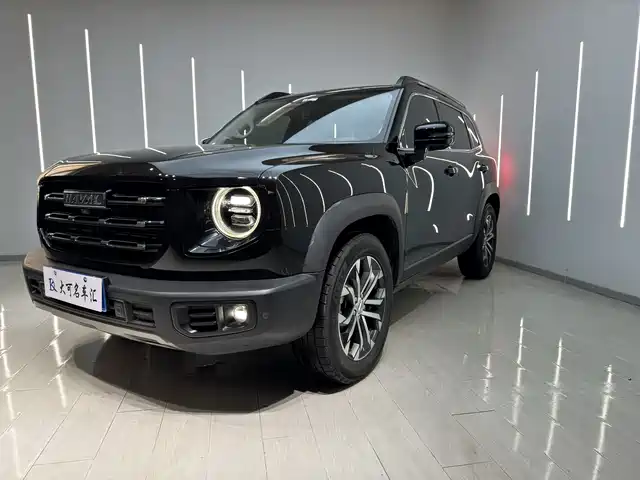 haval big-dog