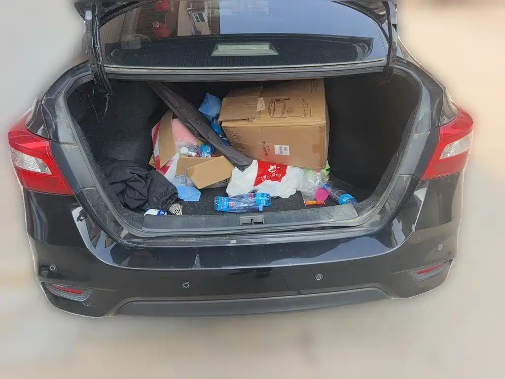 Nissan Sylphy — миниатюра 10