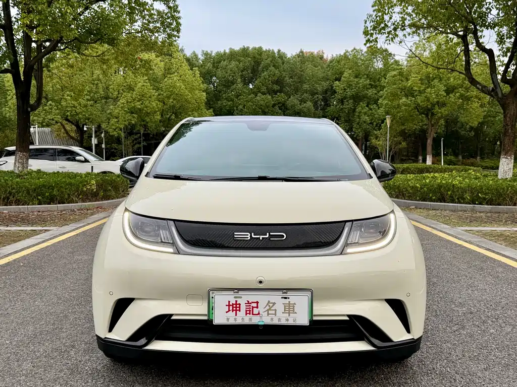 BYD Dolphin — миниатюра 2
