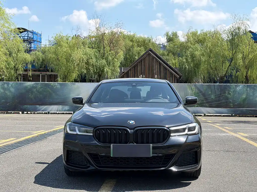 BMW 5 Series New Energy — миниатюра 2