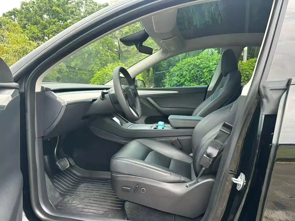 Tesla Model Y — миниатюра 15