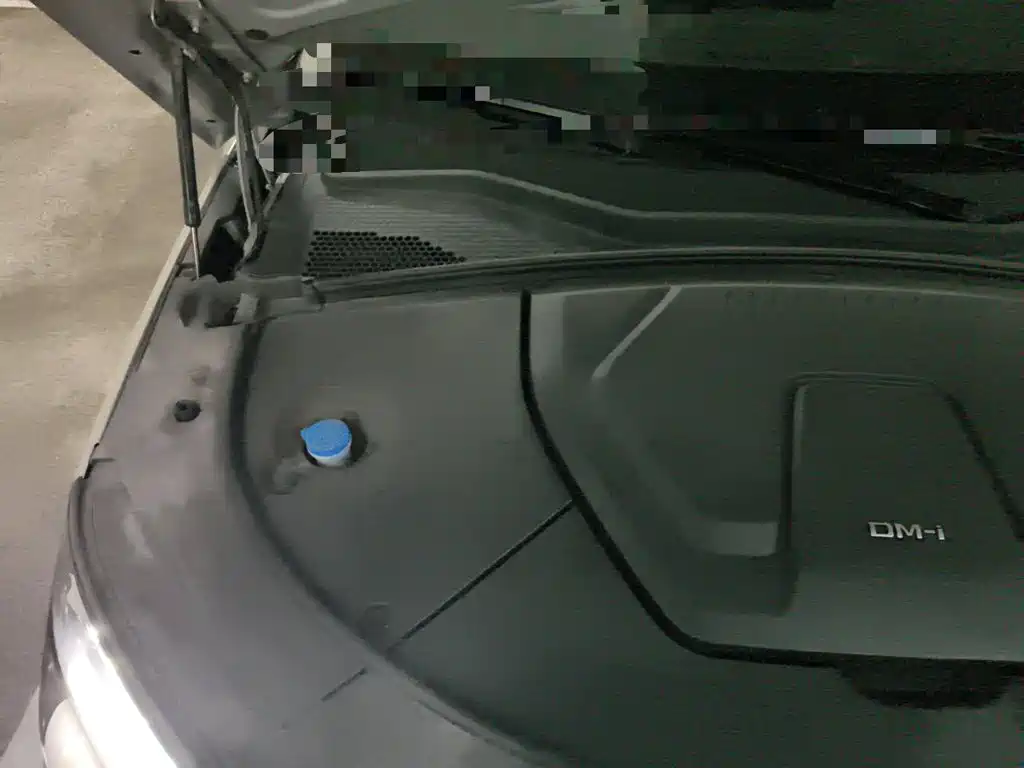 BYD PLUS New Energy — миниатюра 21