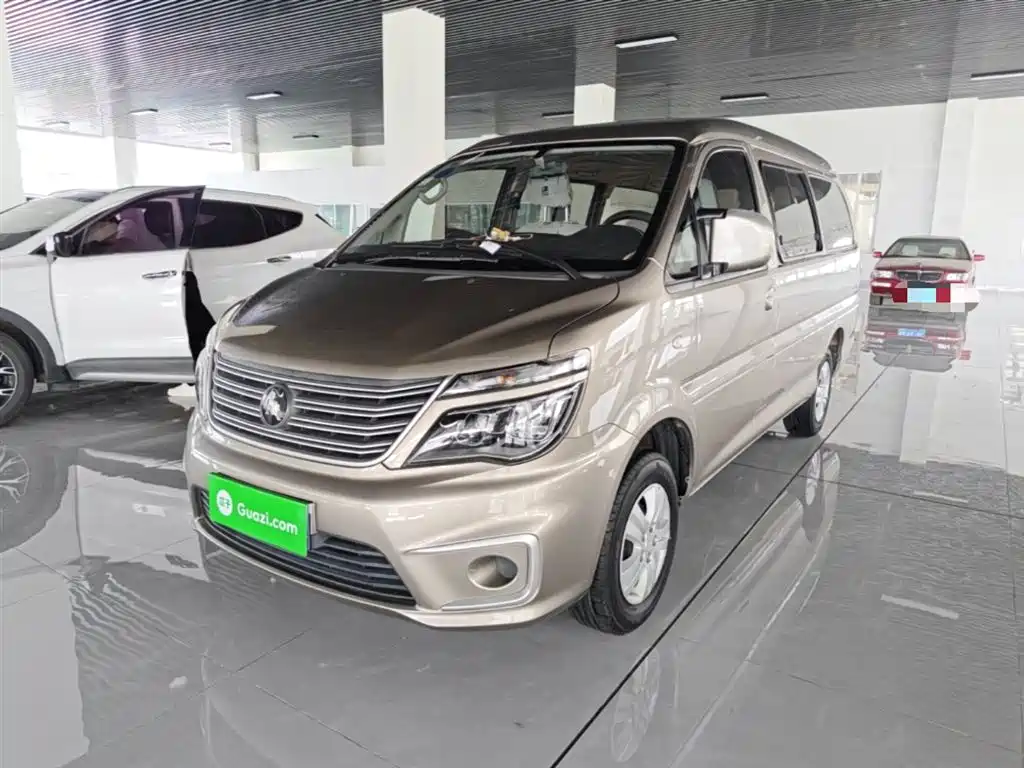 Fengxing Lingzhi 2021