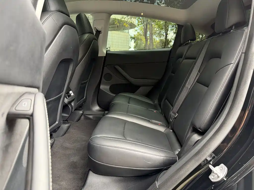 Tesla Model Y — миниатюра 11