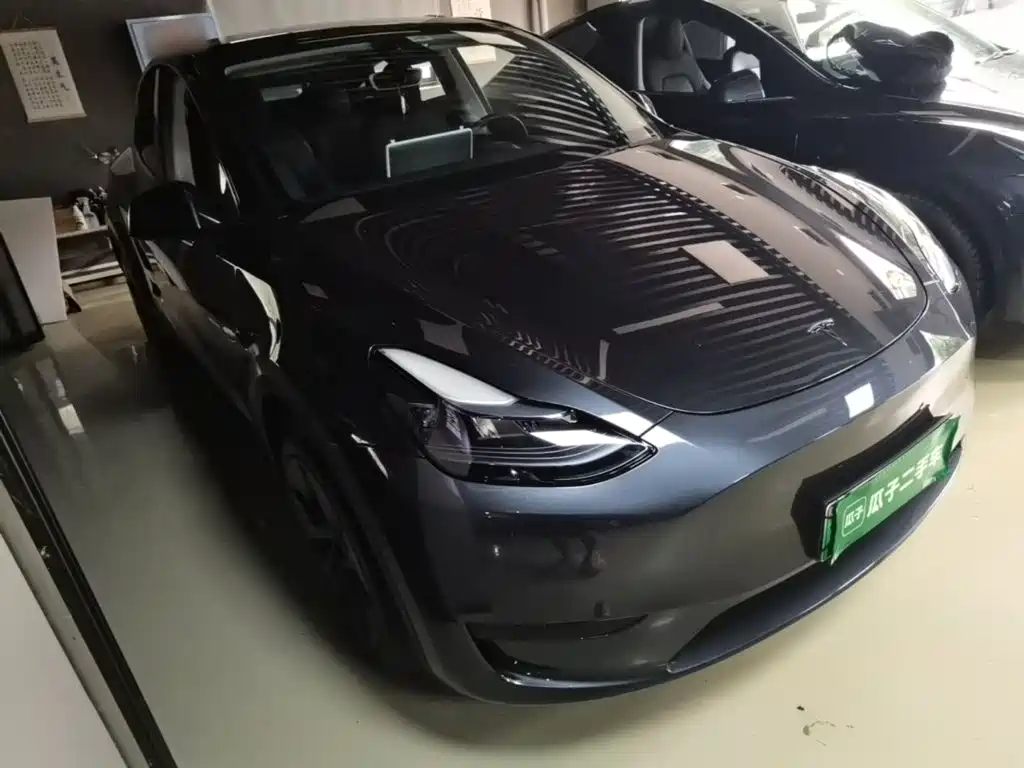 Tesla Model Y — миниатюра 4