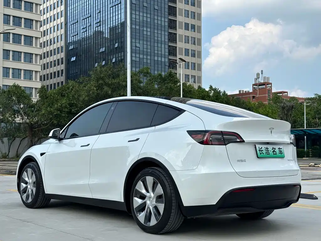 Tesla Model Y — миниатюра 12